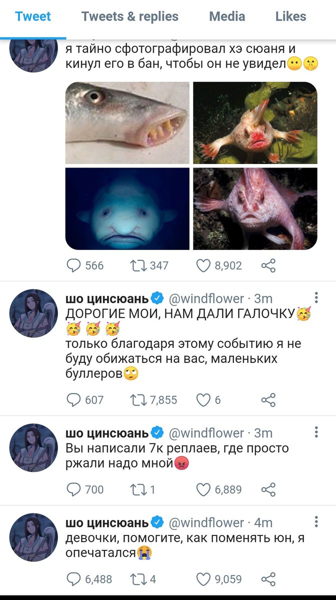дин а tweet media