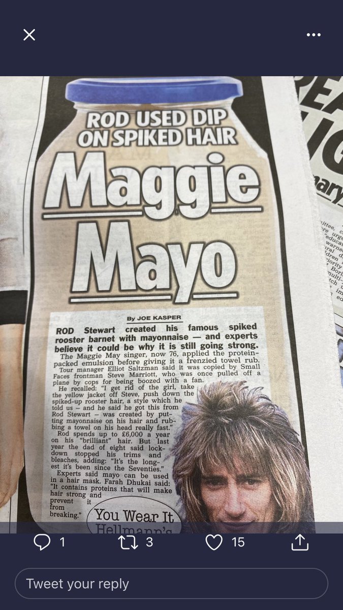 ⁦The Sun in top form reporting Rod Stewart’s hair secrets.  ‘Spiked rooster Barnet’ &amp; ‘protein packed emulsion’.  ⁦<a href="/secondmentions/">Second Mentions</a>⁩