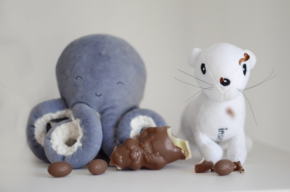InsaniamFrance's tweet photo. Joyeuses Pâques à tous ! 🐇 🍫 Les hermines d'Insaniam profitent de ce week-end prolongé pour se détendre et prendre l'air.
Quelle photo préférez-vous ? https://t.co/FMgdYZyHt4
