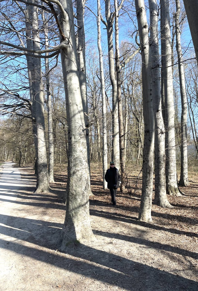 KatalinBogyay's tweet photo. Easter Monday patrol #normafa ! Sun worship today. 🌞🐥🐇 Happy Easter 🐣! https://t.co/ymNcdzuapz
