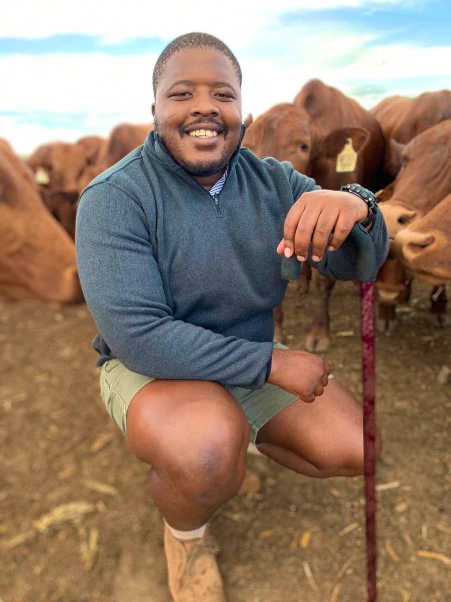 JamaKaSlwaneh's tweet photo. Livestock Farming. Grateful For This Life 

#YoungAndHappy
#YoungAndFarming https://t.co/oRBe7kxSWb