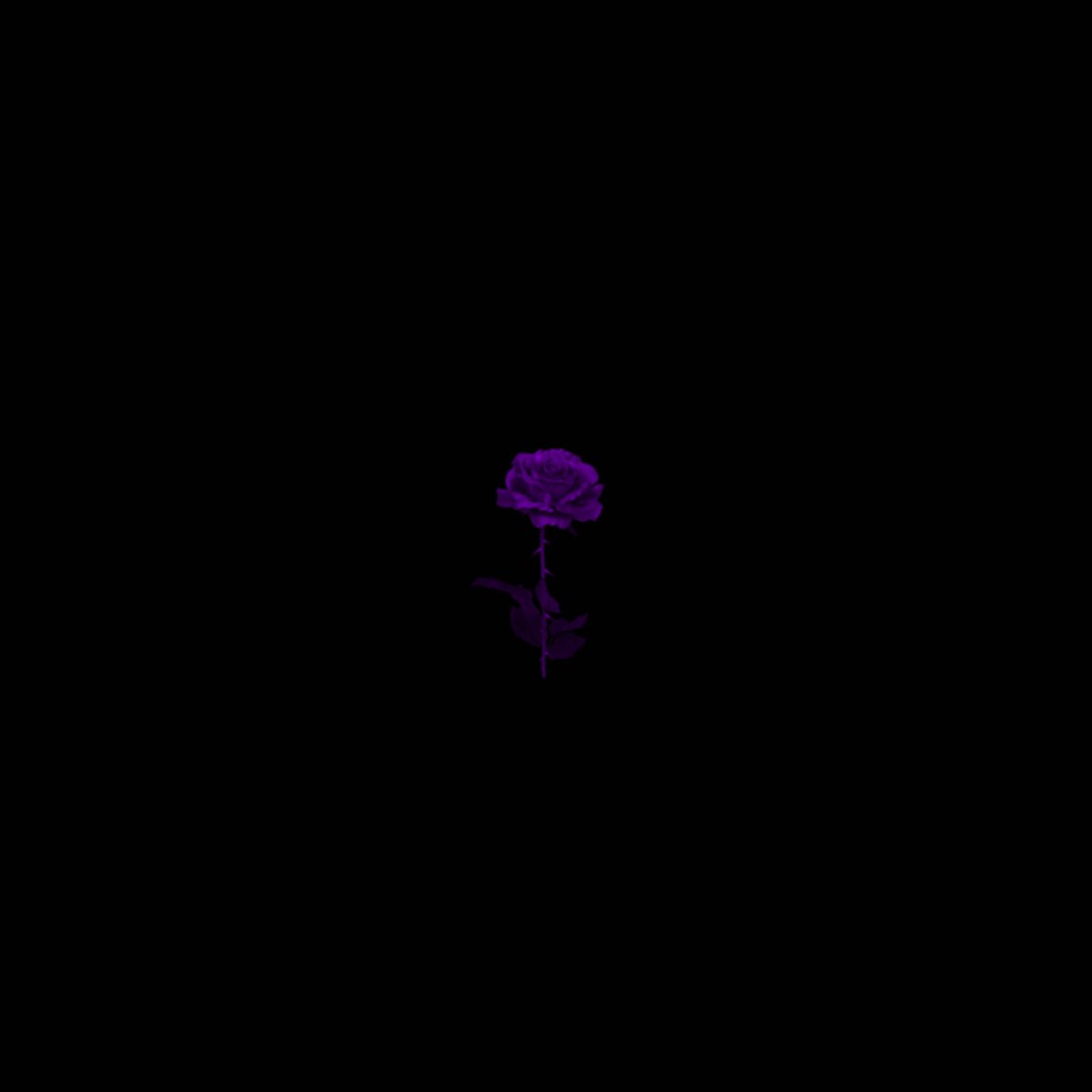 SpratFool's tweet photo. If you are a @prekairo fan

You’ll enjoy this drop

XX/XX/2021

🗣🗣 https://t.co/Hn0g0kZQqT