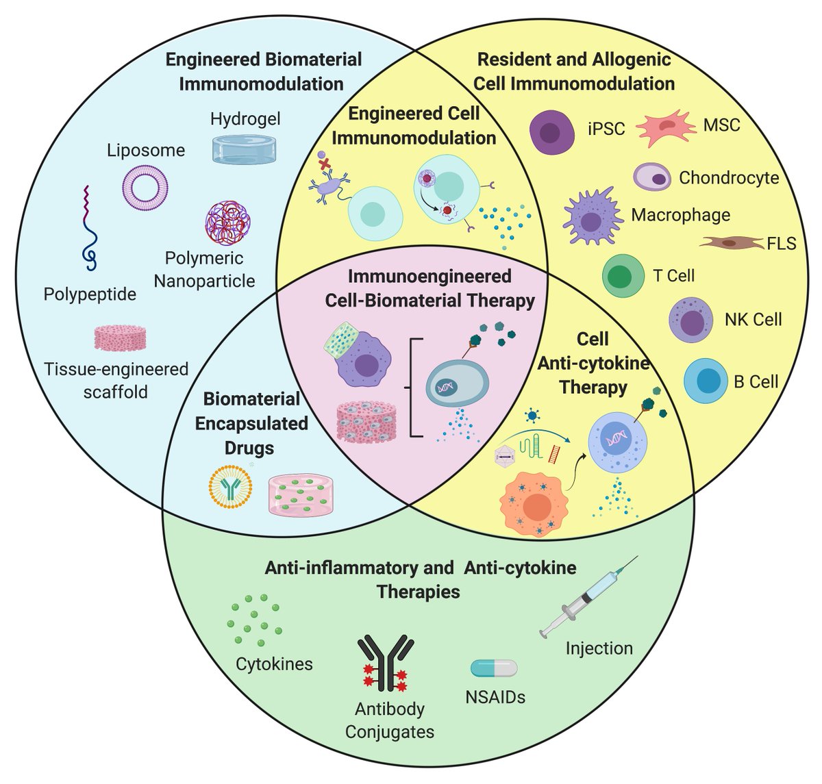Farshid Guilak (@farsh_g) on Twitter photo Congrats to <a href="/mollyklimak/">mollyklimak</a>! Her review on “Immunoengineering the next generation of arthritis therapies” is now out in <a href="/ActaBio/">Acta Biomaterialia</a>! Here we review some of the newest cellular, gene, and biomaterial approaches for immunoengineering to treat OA or RA. sciencedirect.com/science/articl… Congrats to <a href="/mollyklimak/">mollyklimak</a>! Her review on “Immunoengineering the next generation of arthritis therapies” is now out in <a href="/ActaBio/">Acta Biomaterialia</a>! Here we review some of the newest cellular, gene, and biomaterial approaches for immunoengineering to treat OA or RA. sciencedirect.com/science/articl…