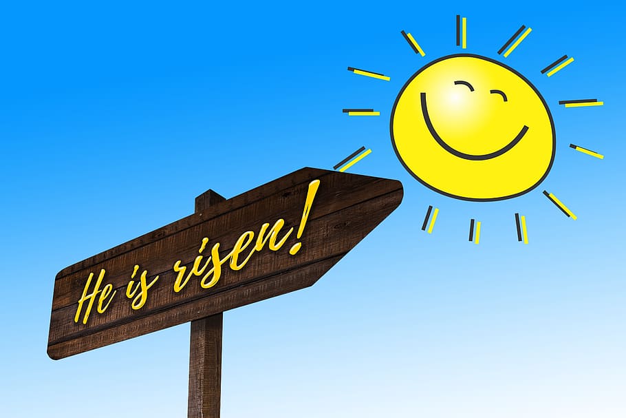 каждый ищет свое место под солнцем. место по солнцем сериал 2021. у галактики есть конец. инфобизнес рисунок. удаленная работа на природе.