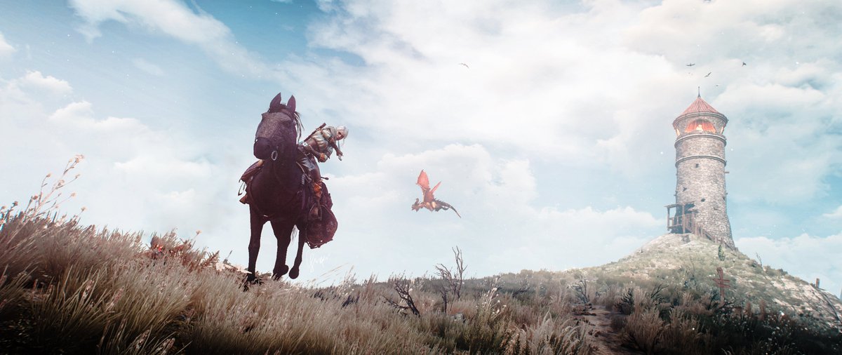 Gingerbread_cap's tweet photo. Was looking for dyed eggs when this guy ruined the fun. ๐ฐ๐ฅ
โผ๏ธ21:9 shotโผ๏ธ
#TCCbluetiful
#Witcher3 #TheWitcher3WildHunt #Ciri #PhotoModeMonday #VirtualPhotography #PhotoMode #TheCapturedCollective #Gamergram #Gametography #Ksnapshots #VGPUnite #VPEclipse https://t.co/C2biX3P7Pt