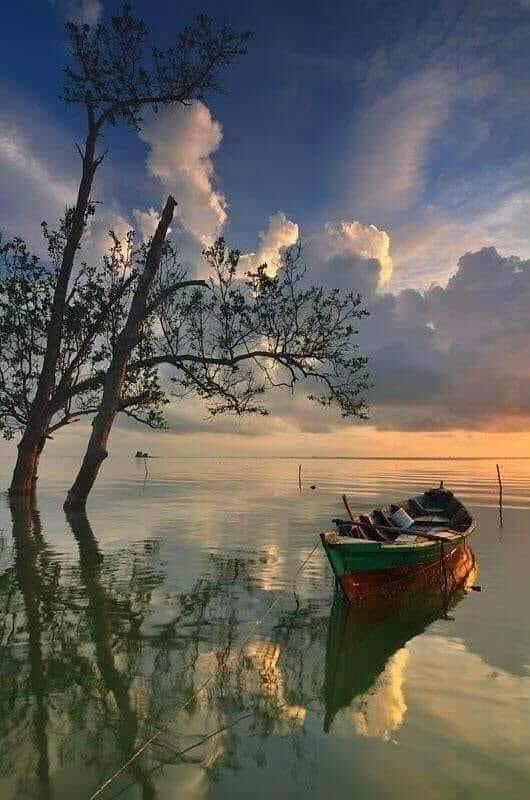 emel ekici (@emelekici35) on Twitter photo 