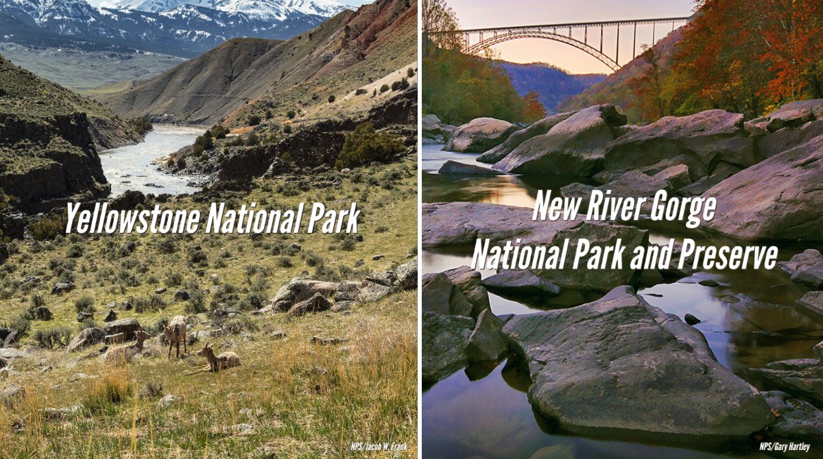 #ParksPandemonium: And then there were two... 🏔️🌊

<a href="/YellowstoneNPS/">Yellowstone National Park</a> is the #NationalParks veteran and <a href="/NewRiverNPS/">New River Gorge NP&P</a> is looking to make a splash. Which will be named America's favorite outdoor playground? 

VOTE today through 9 PM ET! ➡️ thesca.org/parkspandemoni…