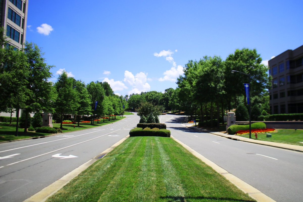Thank you to GreenView Partners for capturing these phenomenal photos of Imperial Center. We appreciate your diligent efforts to make the landscaping in the park look top notch!

#cre #trianglecre #office#propertymanagement