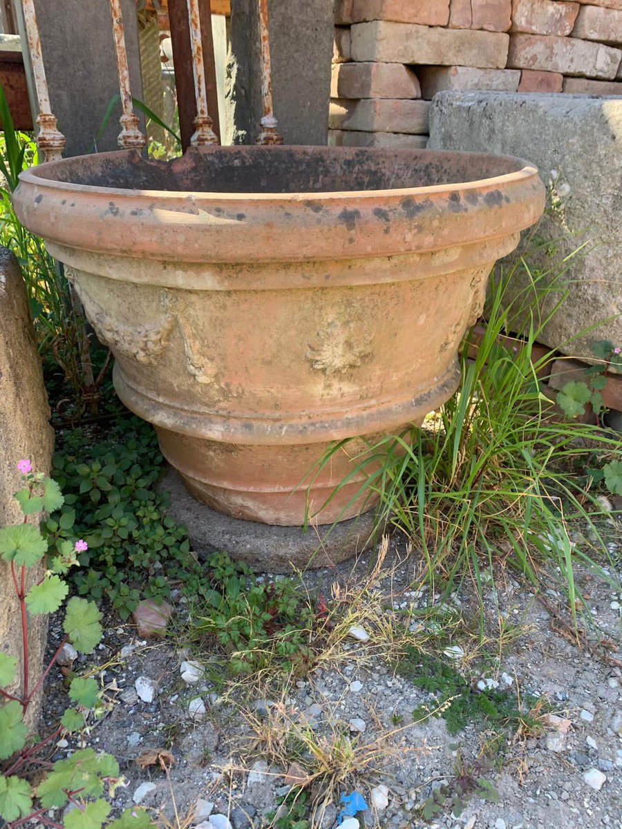 RecuperandoAnd's tweet photo. Parte tre...
#conche #concheantiche #conch #oldconch #ancientconch #ancientconchs #terracotta #oldterracotta #ancientterracotta #antiqueterracotta #homesweethome #home #homedecor #homemade #homedesign #homedecoration #luxury https://t.co/8EozPzv576