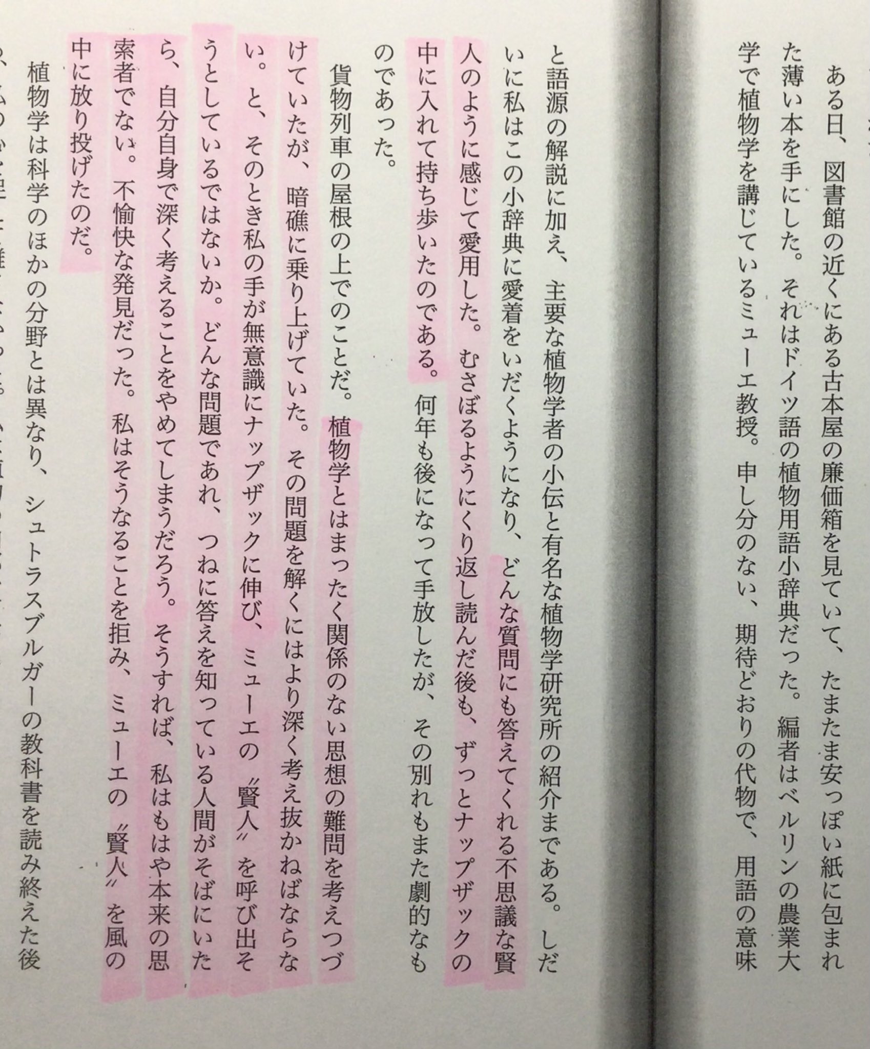 正義マン 7ekikpemnefpzfc Twitter