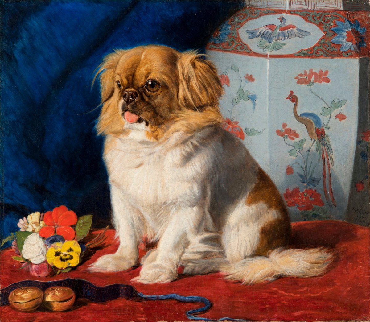  #NationalPetMonth post. Looty, a little Pekingese dog literally looted in 1860 from the Summer Palace apartments of her previous owner, the Xianfeng Emperor's aunt who had taken her own life. Dog was presented to Queen Victoria and portrait exhibited at the Royal Academy in 1862.