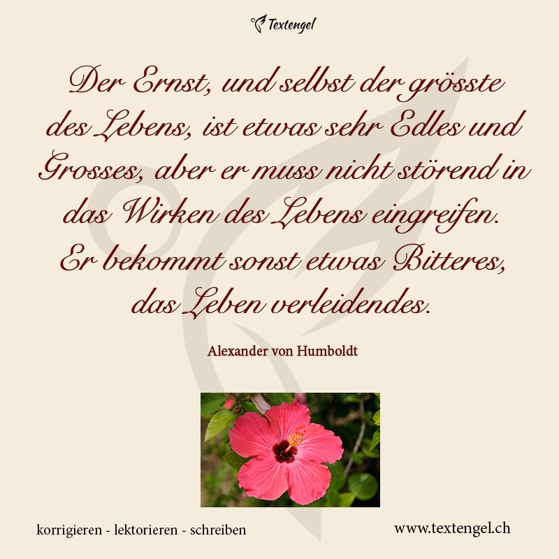 Textengel1's tweet image. 