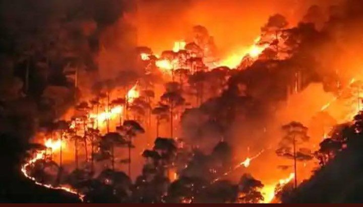 10mae_greenkid's tweet photo. #Uttarakhand is witnessing unprecedented forest fires.
45forest fires in 24 hrs, Uttarakhand reaches out to Centre.
WITH OVER 1,000 incidents of forest fires.
In last 6months.
After #similipalforestfire
&amp; #Bandhavgarhfires
This is a rapid &amp;huge loss of pristine forests&amp; wildlife. https://t.co/6wAEh75Bwp