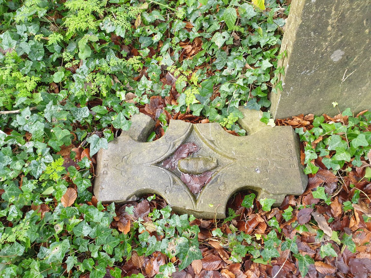 BillyLinehan's tweet photo. Abbotstown House demesne, and pics from nearby graveyard, in disrepair & overgrown - with ruined chapel #Abbotstown #sportscampus
@sportirescampus
@AnTaisce
#History #historymatters #heritage #dublin15 https://t.co/BuSS6doNZp