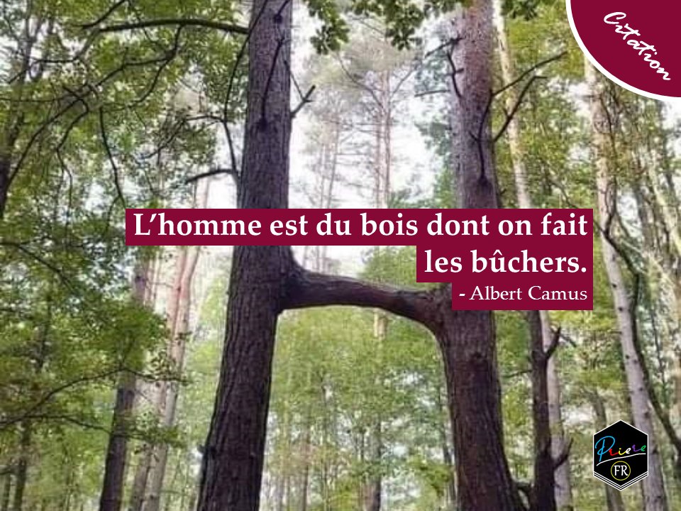Prayer Abraham Man Is The Wood From Which Pyres Are Made Albert Camus Quote Fle Learnfrench Frenchenglish Prierefr T Co Nqjgdykndz Twitter