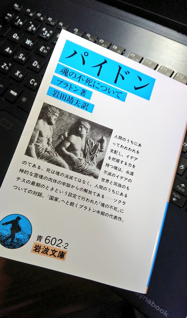 あいけ プラトン パイドン 有名なイキり名言 哲学するのは死の練習だから死は怖くないw が読めるやつ イデア論も初登場するし全体的に熱量がすごい 銃鎗読書メモ あいけ プラトン パイドン 有名なイキり名言 哲学するのは死の練習だから死は怖くないw が読めるやつ イデア論も初登場するし全体的に熱量がすごい 銃鎗読書メモ