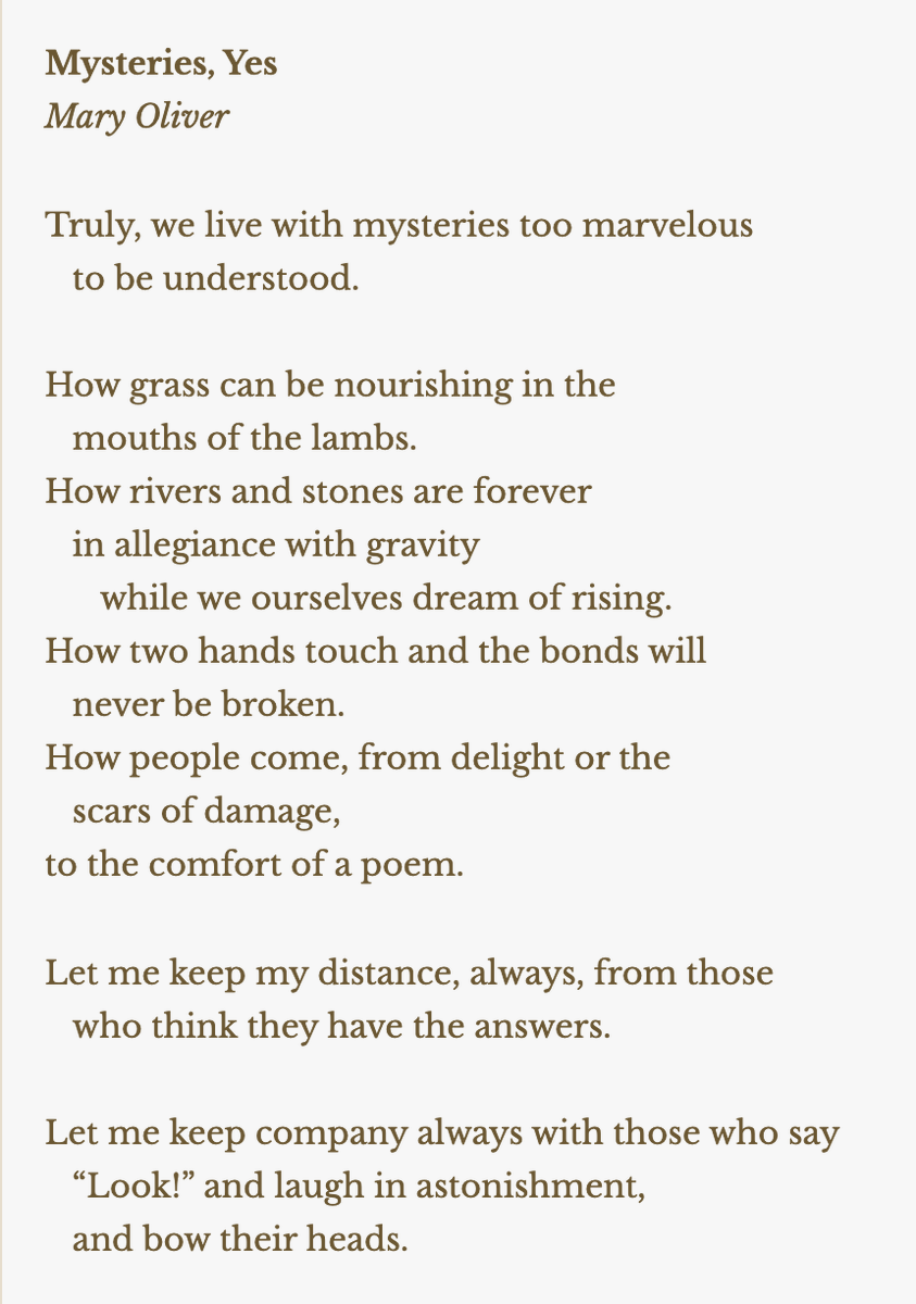 Day-  #APoemADayMysteries, Yes by Mary Oliver--Welcome to the comfort of today's poem! I hope you find many moments to laugh in astonishment and bow your head this month. 