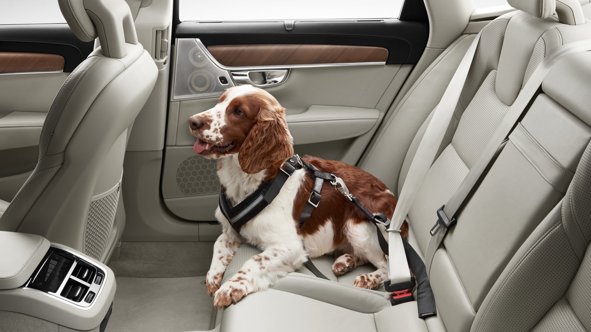 Volvocarjapan 大切な 犬 にも安全を 30kgの大型犬を乗せてのドライブ中 時速40kmで衝突した場合 犬が突然1トンの重量物に 犬を乗せるときは しっかり固定されたドッグケージやハーネス等で固定してあげることが大切です ボルボ ペットギフト