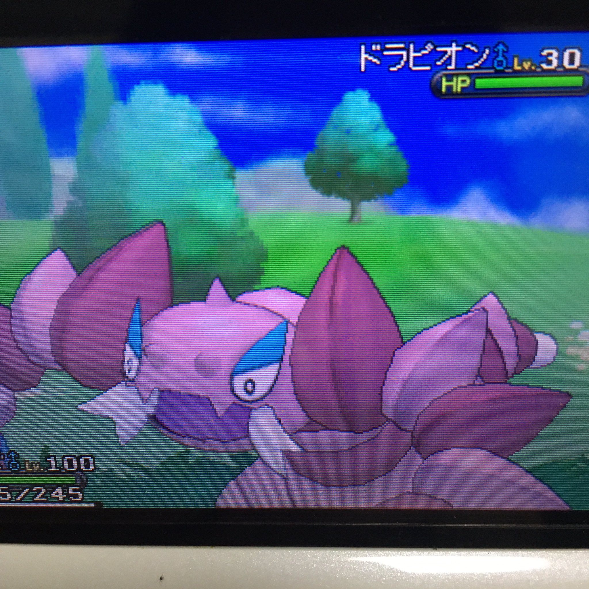 Hal318 フレンドサファリにて 色違いドラピオンゲット ドラピオン好きだから嬉しい 色違いポケモン Shinypokemon ポケモン ドラピオン ポケモンxy フレンドサファリ ポケモン好きな人と繋がりたい T Co U4mvvbtgxq Twitter