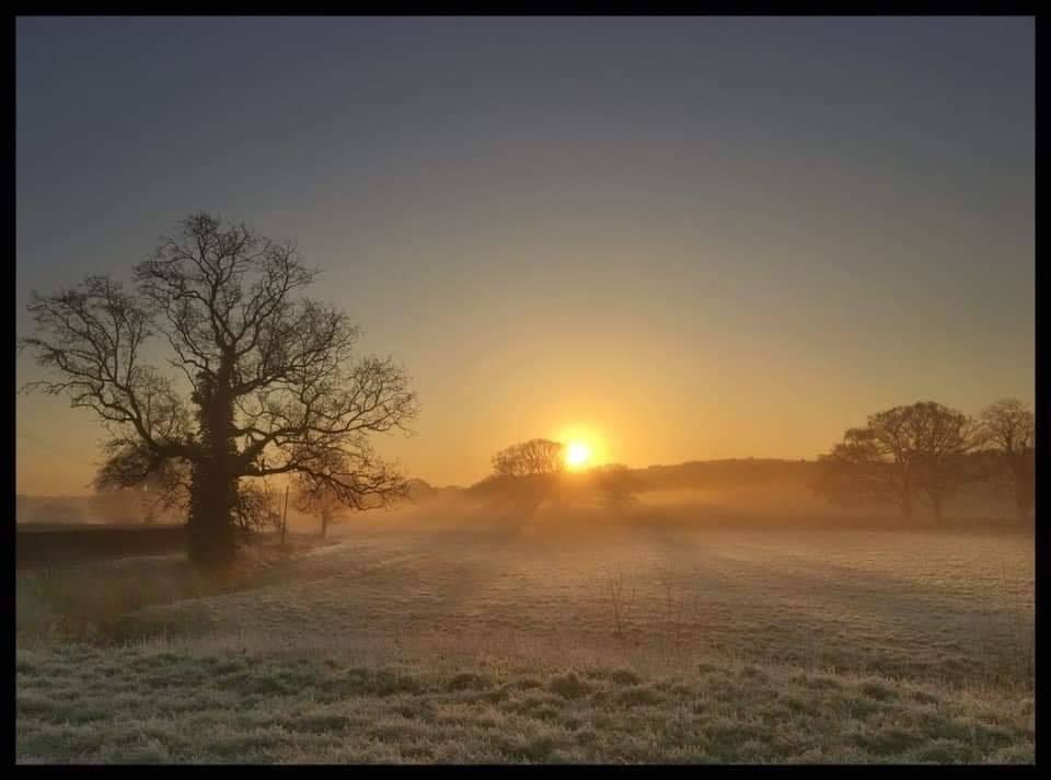 BHSupportGrp's tweet photo. NEW ENTRY into our easter comp - pls see pinned post https://t.co/IfHphBN7yD