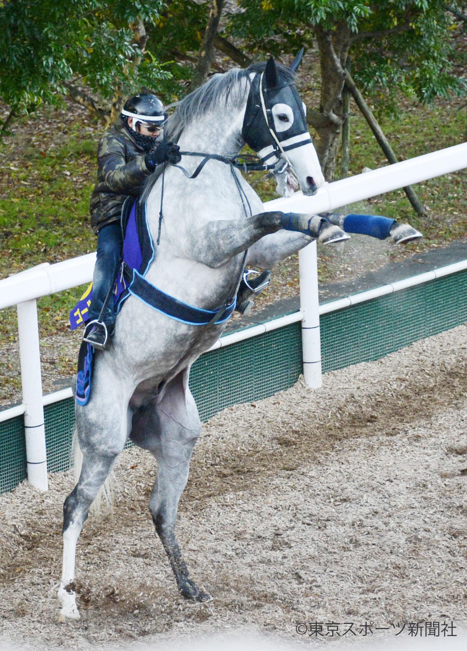 東スポ競馬 Pa Twitter あいつと似てきたけど こうはなっていない模様 ゴールドシップ ソダシ 桜花賞 競馬 T Co Kgp3lnmwyn Twitter