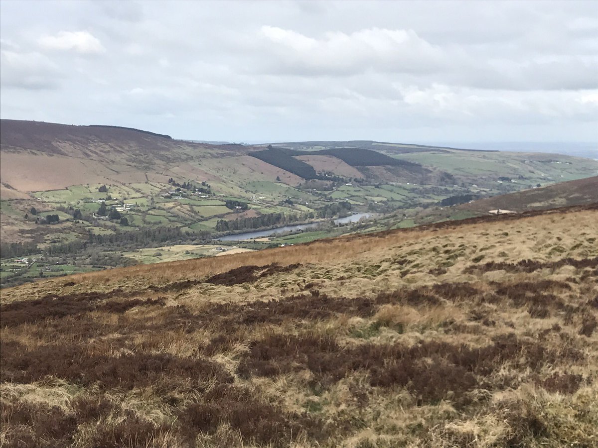 IrishRunningGir's tweet photo. Short and sweet 5 miler
#Cruagh #Featherbeds #Viewpoint
Views of #Kippure #DublinCity #MontpelierHill #HellfireClub and #Reservoir
@SavetheHellfire https://t.co/Bk35U0y0or