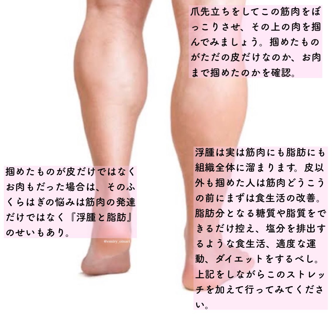 トレえみ ぼっこりふくらはぎをどうにかしたい 真っ直ぐ脚に憧れるとふくらはぎの筋肉って悩ましいですよね 自分の ふくらはぎのタイプを知り それプラスこのストレッチを定期的に行いほぐしてあげてください T Co 2azt79dfgq Twitter トレえみ ぼっこりふくらはぎをどうにかしたい 真っ直ぐ脚に憧れるとふくらはぎの筋肉って悩ましいですよね 自分の ふくらはぎのタイプを知り それプラスこのストレッチを定期的に行いほぐしてあげてください T Co 2azt79dfgq Twitter