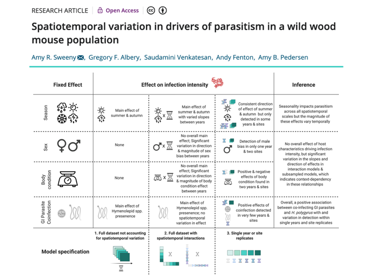 arsweeny's tweet photo. How variable are factors driving parasitism over space &amp; time? 🪐⌚️🐭

Out now in @FunEcology! Using a dataset of ~1000 wood mice, 6 years, &amp; 5 sites we found spatiotemporal variation in drivers of infection with a GI nematode. 

https://t.co/QmS9xr7wGn

Overview &amp; thread (1/6): https://t.co/TRzaDoztx8