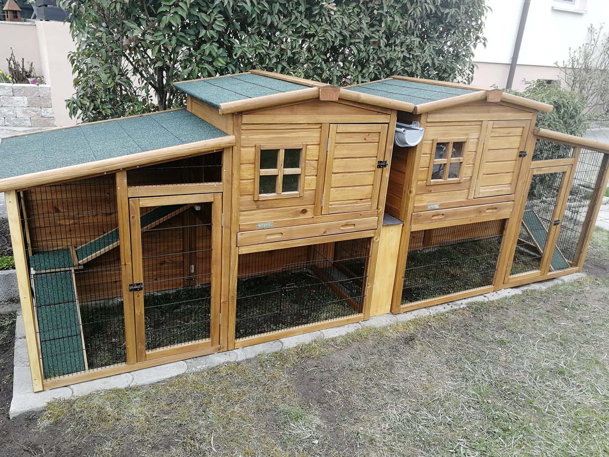 sql_joachimw's tweet image. Project "rabbit villa" successfully completed
Only the rabbits still missing