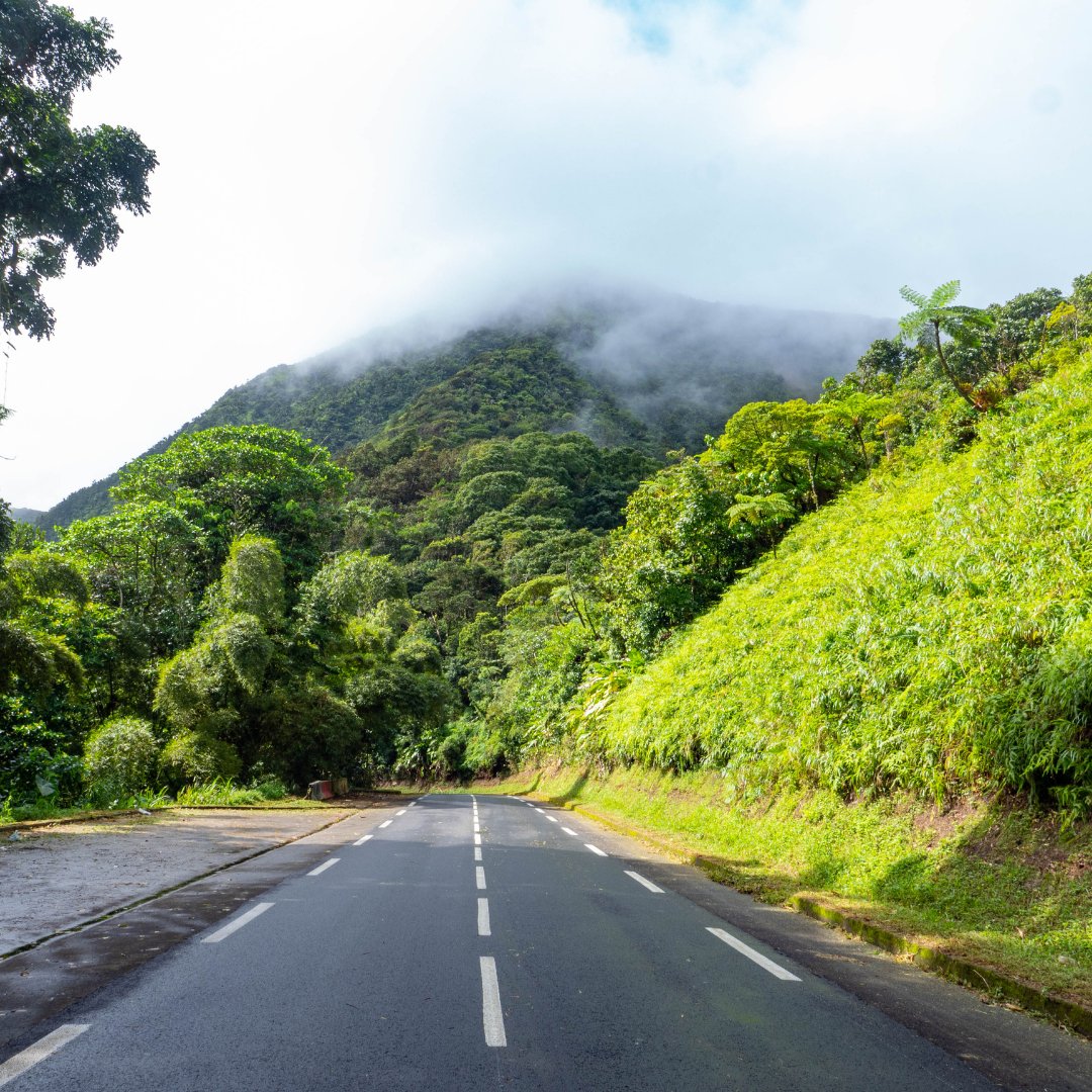 La route de la Trace qui mène au jardin, vaut elle aussi le coup d'œil ! Véritable joyaux de l'île elle est absolument spectaculaire et nous ne nous lassons pas de l'arpenter. 😍

#martinique #vacances #balata #jardindebalata #nature #ilovemartinique #colibris #fevrier #antilles
