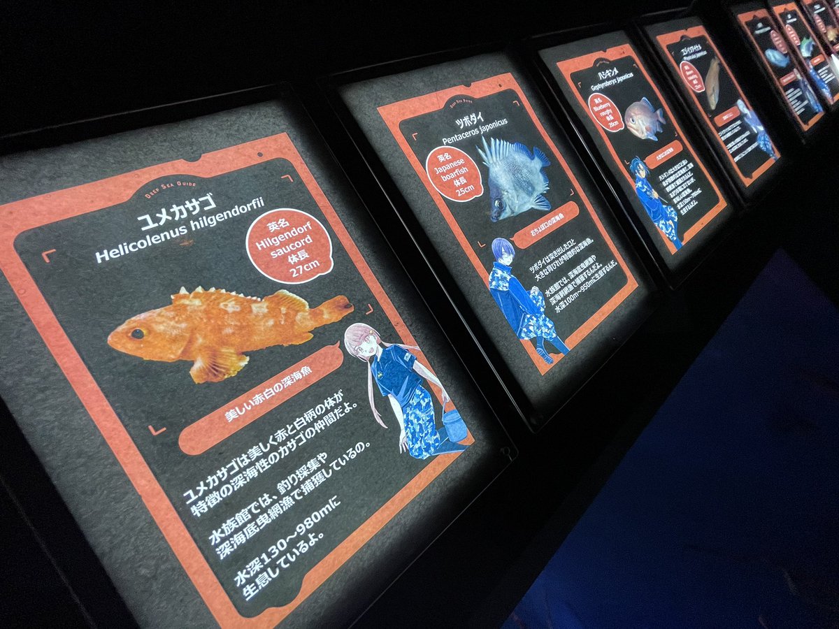 椙下圣海