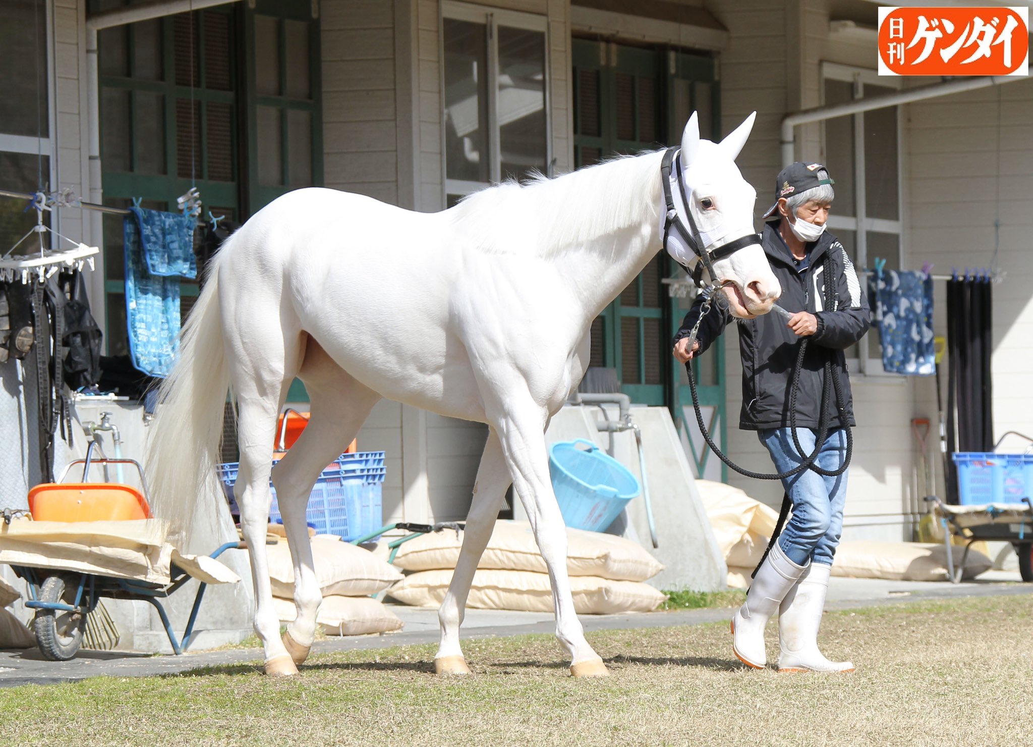 【未開封】ブチコ　フィギュア付ポーチ　ソダシの母 競馬 ウマ娘 未開封】ブチコ フィギュア付ポーチ ソダシの母 競馬 ウマ娘