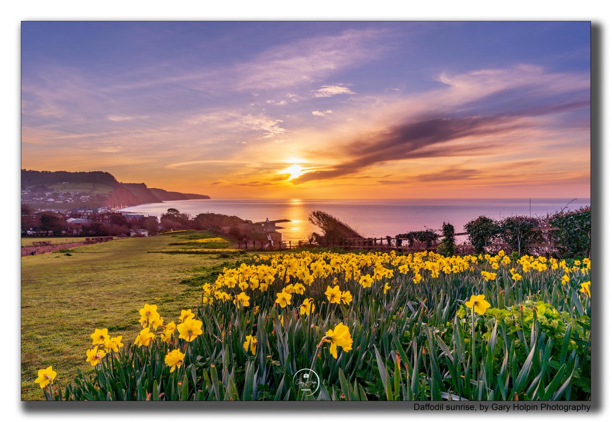 GaryHolpin's tweet photo. Want to learn how to take photos like these, on the beautiful East Devon coast? The May residential course @MazzardFarm is fully booked, but still a few spaces on the June at Oct weekends. Details at  https://t.co/DQdGTb6X0s 📸📸📸 https://t.co/JI2n7yata5