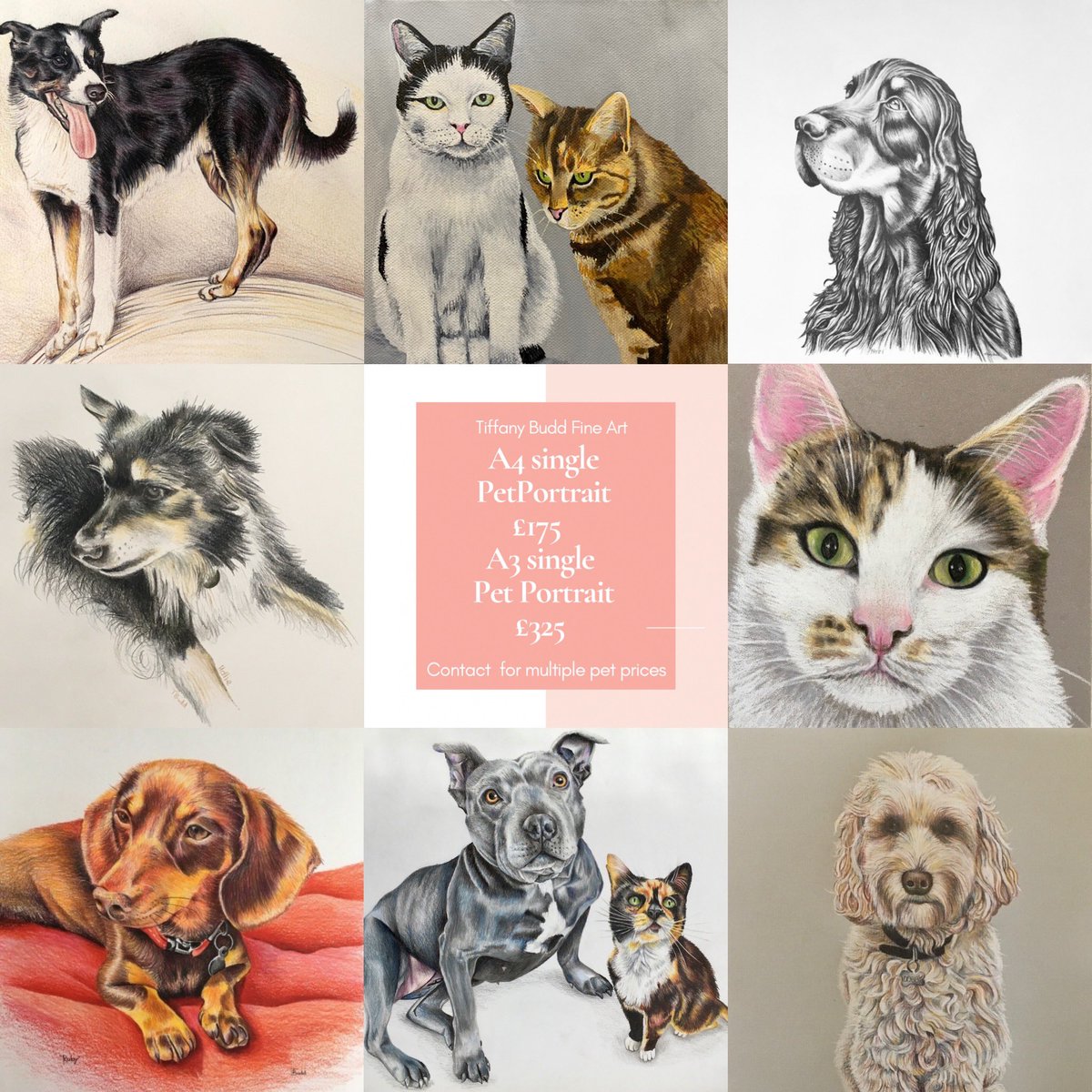 Taking commissions now! #petportraits #MHHSBD #artist #weloveourpets #cats #dogs #portraits #UKGiftAM #craftbizhour