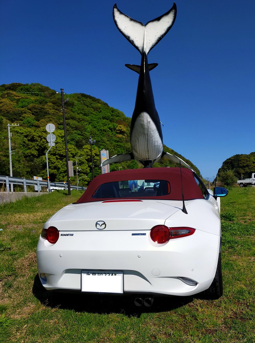 ret661s5472's tweet photo. #車好きと繋がりたい 
くじらを乗せちゃったぜよ🕴️ https://t.co/5oNJjGf9Ag