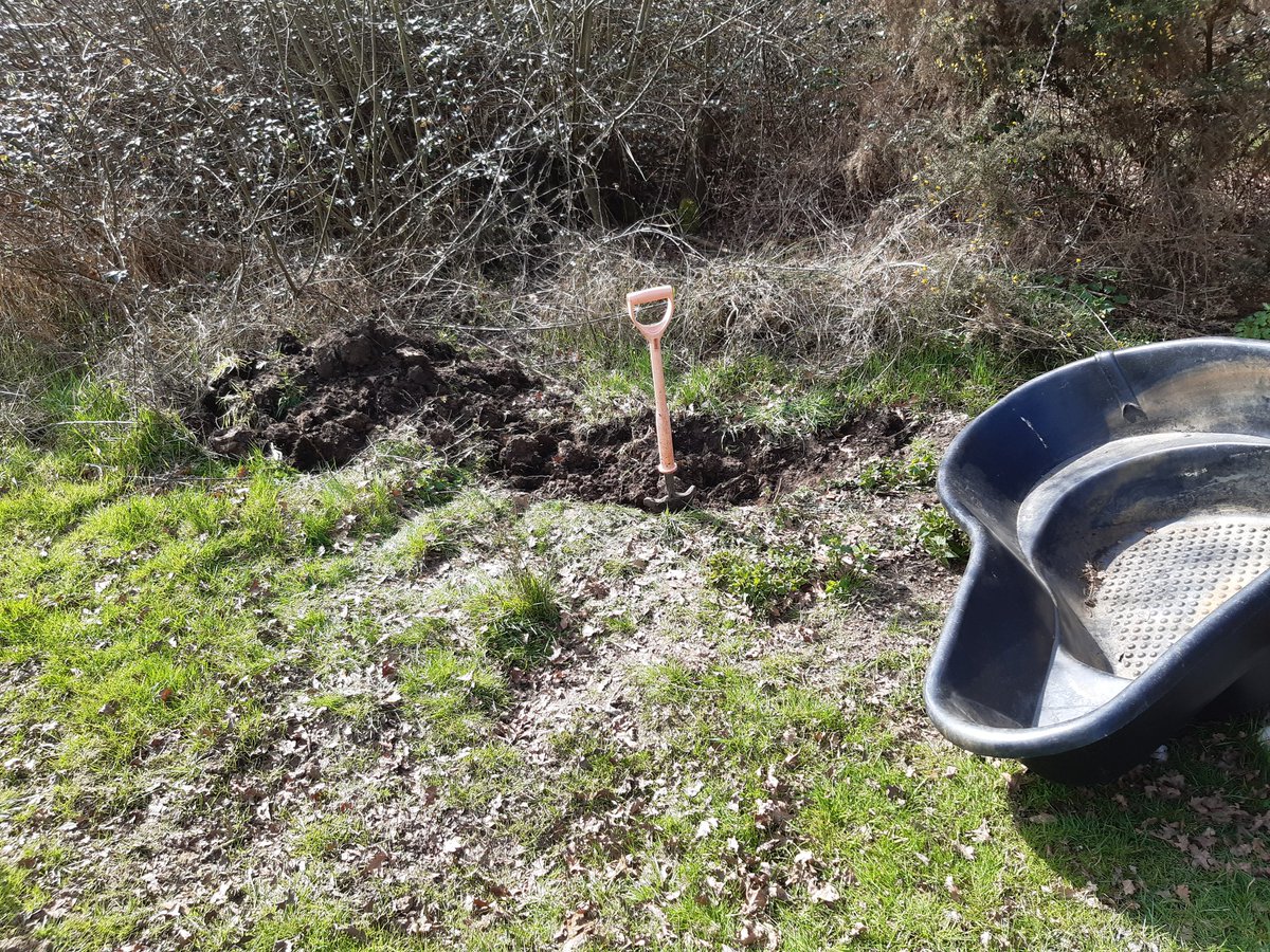 ScrubUpBritain's tweet image. That time of year when I can at last get around to adding a few more micro ponds to our scrubland site. Early stages yet but this micro plastic pond will be a haven for wildlife in the coming months &amp;amp; fingers crossed, a vital drinking site for our turtle doves!! @SaveTurtleDoves