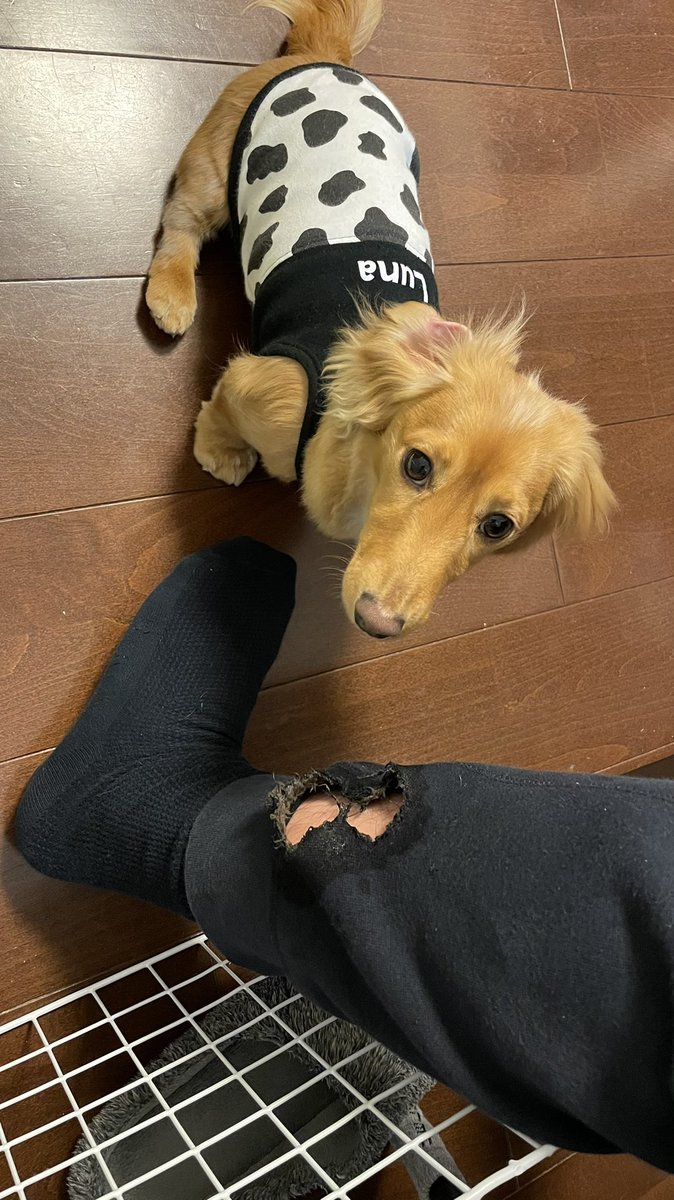 hirocosp's tweet photo. ご飯食べ待てる間にジャージにこんな大穴が。。😱 https://t.co/BLu6pnCx6Z