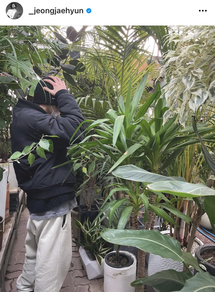 เหมือนถ่ายแถวบ้านกุ