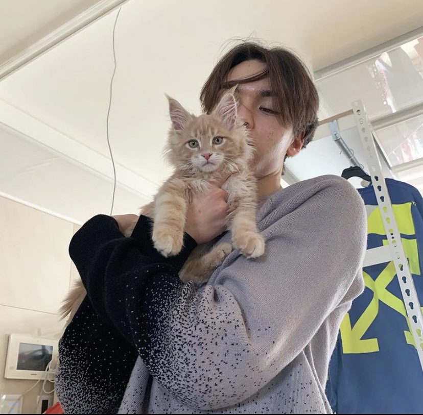 sarah ; vernon’s gf (ia) (@vrn0n) / Posts / X