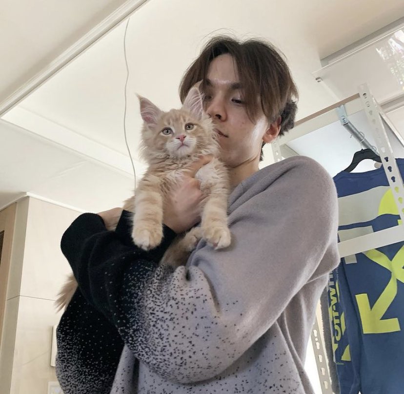 sarah ; vernon’s gf (ia) (@vrn0n) / Posts / X