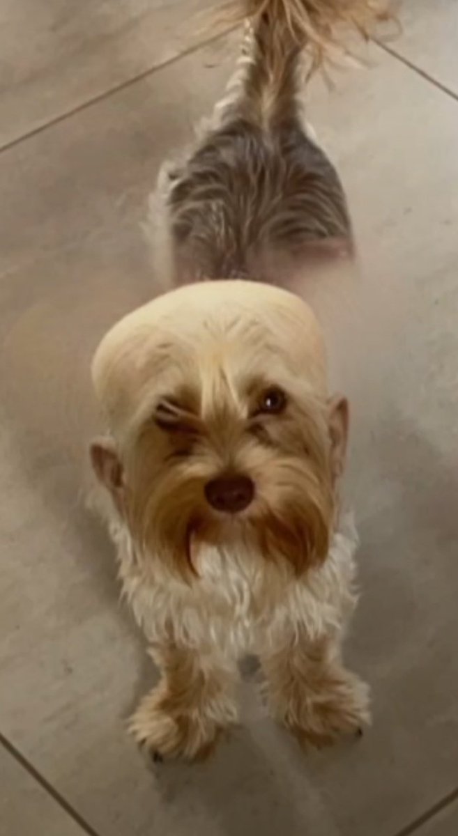 traezk (@yolobror) on Twitter photo 