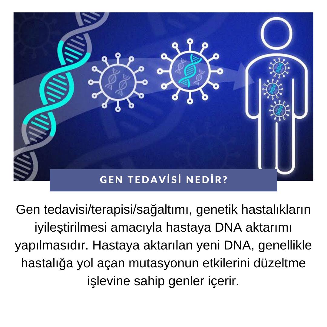 Gen Tedavisi Nedir?

#gen #gentedavisi #BiyologlarTakiplesiyor #biyologsuzolmaz #biyologlarkanunu #molekülerbiyolog #molekülerbiyoloji #genetik