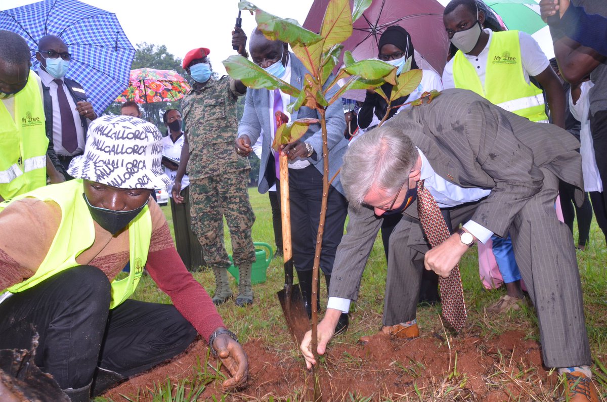 mytreeUganda's tweet image. The Germany 🇧🇪 Ambassador to Uganda, H.E. Amb. Schauer Mathias planted the 2nd #tree to support the global environmental agenda and to honour the brave health heroes!

What an incredible inspiration to the rest of his fellow diplomats! 🇺🇬

#ATree4EveryHeroe🌳
#PlantYourTreeToday.