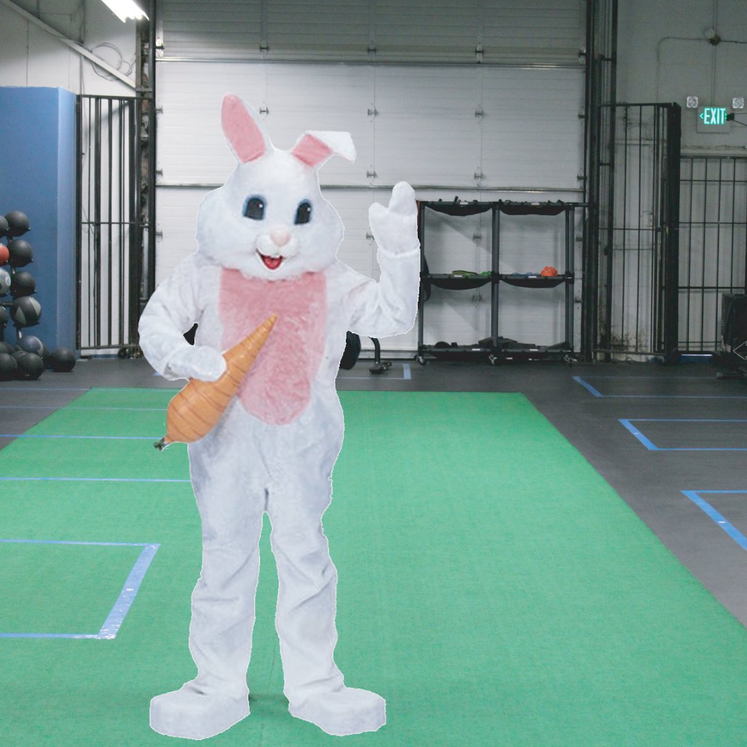 A quick visit from the easter bunny!! He had a great workout and reminded us to eat our veggies! 😉

Happy Easter everyone 🐰❤️ #Easter #HappyEaster