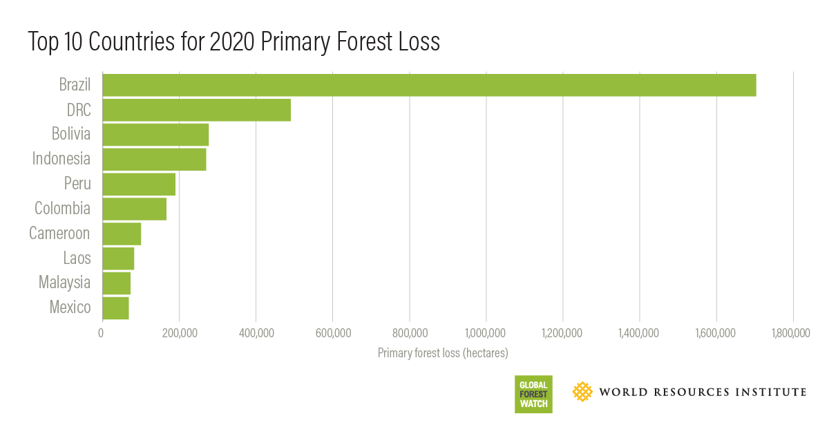 2020 #treecoverloss data reveals that forests faced many climate-related disturbances in 2020 including fires, droughts, storm and insect damage. 

Discover where climate change has affected primary forests on the #GlobalForestReview ow.ly/TSm050Egz9N