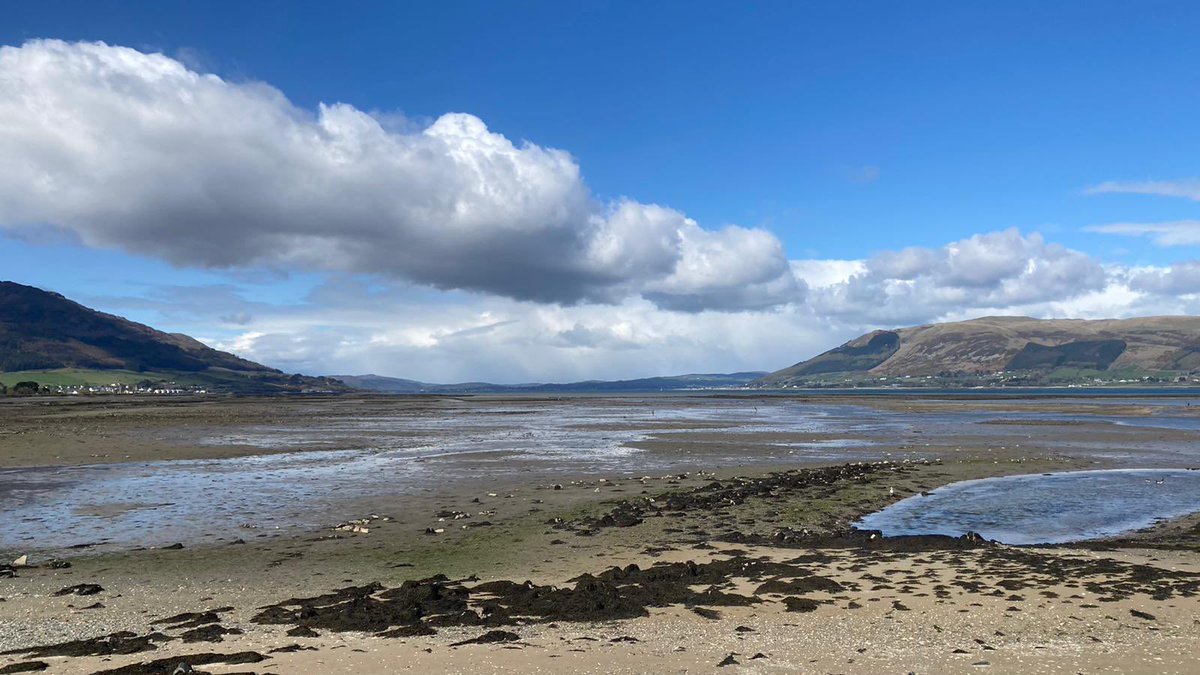 Lowtide Lowtide