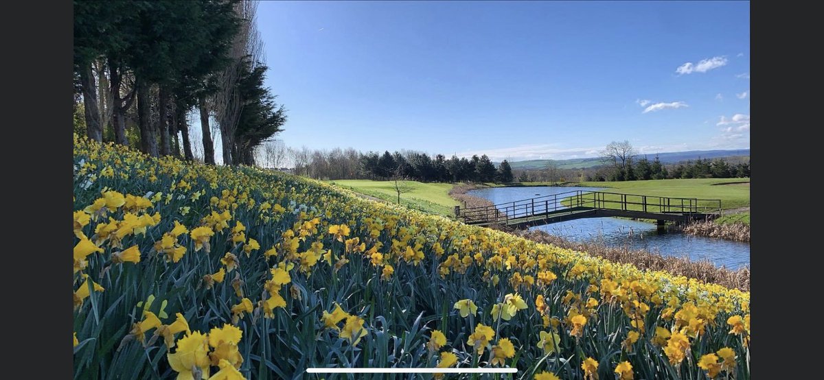 Happy Easter Bank Holiday ⛳️🌼