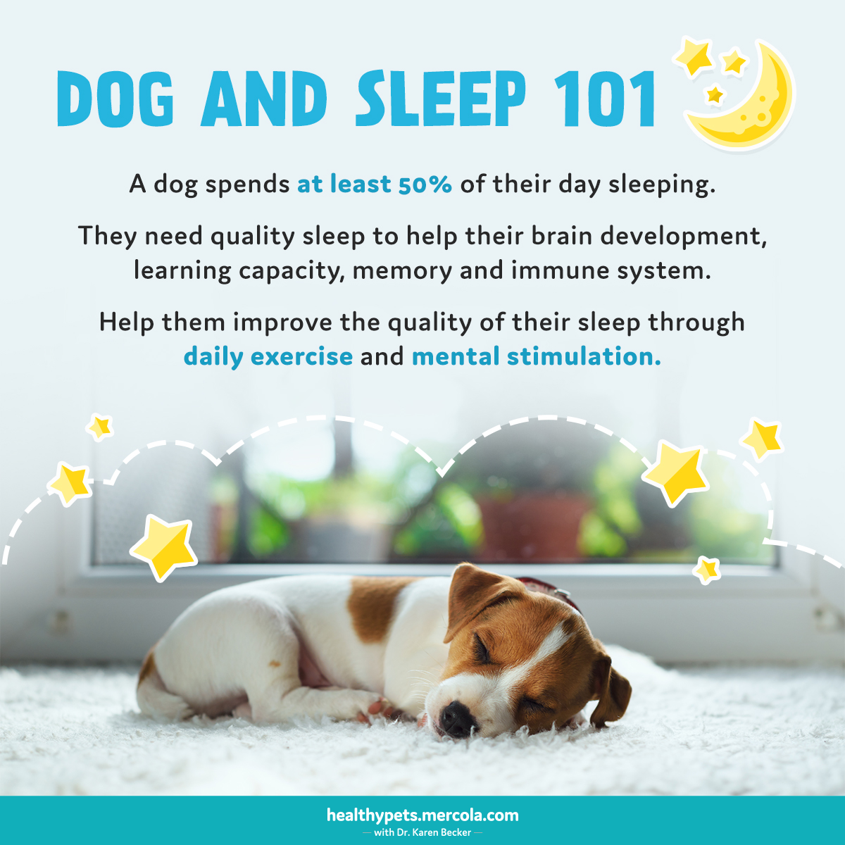 drkarenbecker's tweet photo. Like you, your pooch needs quality sleep too. 💤 https://t.co/6xIo6jbImC