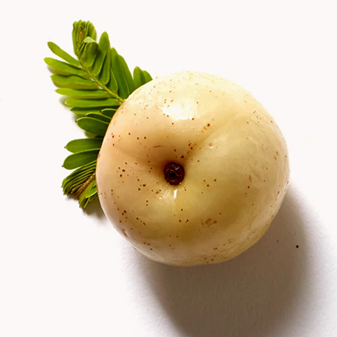 avedacincinnati's tweet photo. The ingredients in the Aveda products you love aren’t secret; they’re simple. Discover what what they do and from where they are sourced - and why they’ll make a difference in your hair care routine: https://t.co/3nq609e4Fx https://t.co/AwIf5MT6el