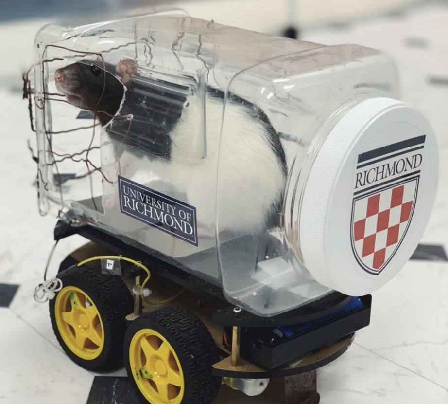 Let's Make a Music tweet media